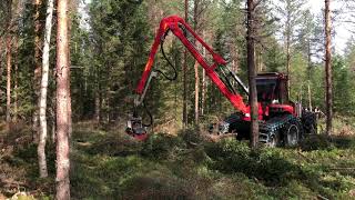 Nisula N5  new 6wheel thinning harvester No1 at soft soil [upl. by Onihc]