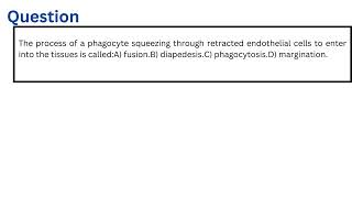 The process of a phagocyte squeezing through retracted endothelial cells to enter into the tissues i [upl. by Emrich]