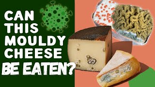 Can You Eat Mouldy Cheese How To Tell Good Cheese Mould From Bad Mould [upl. by Namyaw]