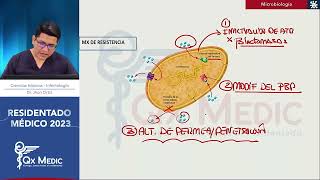 RM 2023 Infectología 02 Penicilinas cefalosporinas monobactámicos carbapenémicos glucopéptidos [upl. by Ilehs]