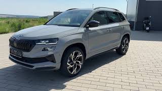 Skoda Karoq Sportline 20 TSI DSG 4x4 [upl. by Yclehc]