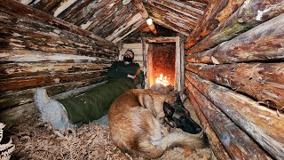 Building Warm Bushcraft Survival Shelter in Wildlife Fireplace Campfire Cooking ASMR DIY [upl. by Courtnay234]