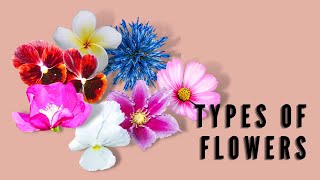 TYPES OF FLOWERS COMPLETE amp INCOMPLETEPERFECT amp IMPERFECTMONOECIOUS amp DIOECIOUS [upl. by Belier]