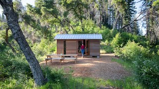 Building a cabin in the woods from log to lumber An offgrid DIY project with friends [upl. by Atalante516]