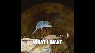 CXNFIDENT ft Llondon Moore  What I Want Official Audio [upl. by Shaefer]