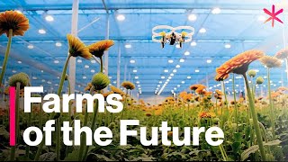 The Futuristic Farms That Will Feed the World  Freethink  Future of Food [upl. by Regine86]