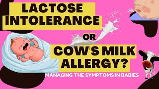 Does your Baby Have Lactose Intolerance Or Cows Milk Allergy [upl. by Neelsaj117]