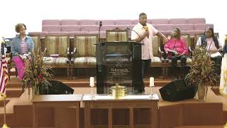 Pastor Horice Willis  The Amazing Power of Spiritual Sight [upl. by Alin867]