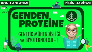 Genden Proteine 5  Genetik Mühendisliği ve Biyoteknoloji  1  AYT Biyoloji  12 Sınıf Biyoloji [upl. by Livesay709]