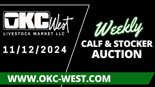 11122024  Calf amp Stocker Auction  OKC West [upl. by Kleiman]