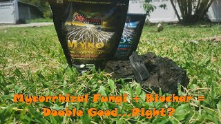 Ep1 Mycorrhizal Fungi  Biochar  Double GoodRight [upl. by Cora369]