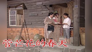 菅芒花的春天 EP02  民視開台經典戲劇 [upl. by Maje]