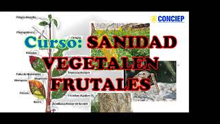 𝗖𝗨𝗥𝗦𝗢SANIDAD VEGETAL EN FRUTALES [upl. by Burnham]