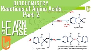 Biochemistry Reactions of amino acids Part2 [upl. by Enialedam]