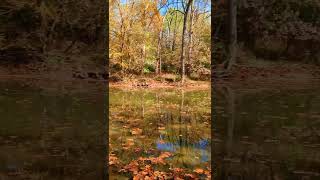 Prairie Oaks Metro Park  in the fall [upl. by Sephira337]