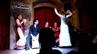 Barcelona Palau Dalmases Flamenco Show [upl. by Richmal988]