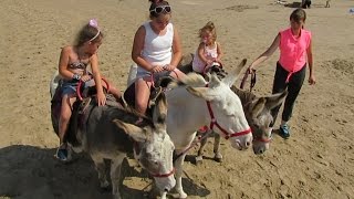 Donkey Ride in Greece [upl. by Pelag]