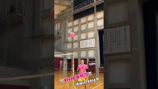 VIVID×WISTERIA WISTERIAWORLDVOLLEYBALL [upl. by Odidnac]