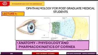 Infectious Keratitis STATE OF THE ART  1 Introduction To Cornea [upl. by Nalac]