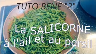 TUTO BENE quot2quot  LA SALICORNE [upl. by Studner148]