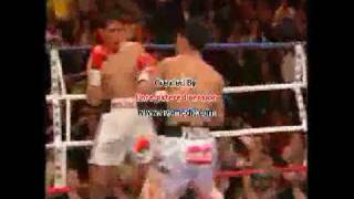 MANNY PACQUIAO FAST HANDS [upl. by Emyam]