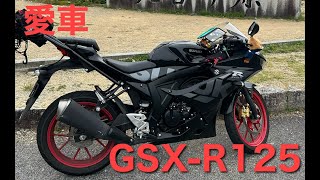 【GSXR125】愛車紹介【SUZUKI】 [upl. by Larina]