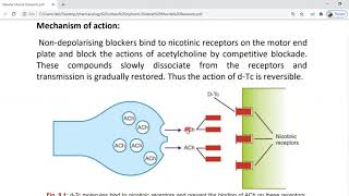 Skeletal muscle relaxants  Lecture 16 [upl. by Metabel]