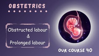 Rev Obstructed labour amp Prolonged labour  Page 225  228  Obstetrics Module 40 [upl. by Warchaw944]