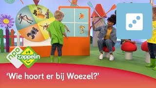 WAT HOORT BIJ ELKAAR 2  Kinderspelletjes spelen met Fenna  NPO Zappelin [upl. by Legnalos]