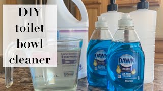 DIY Toilet Bowl Cleaner [upl. by Dnalerb]