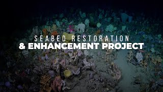 Seabed Restoration and Enhancement Project [upl. by Idonah413]