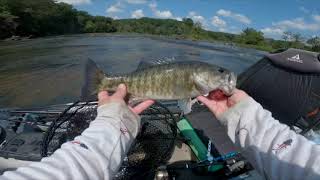 Smacking Shoal Bass on the Flint River [upl. by Melvin]