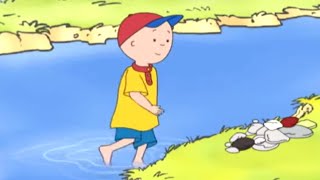 Caillou and the Lake  Caillou Cartoon [upl. by Klein]