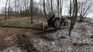 Zerwana linka  Wyciąganie drzewa  Zgubiłem kamerę 😮  Porządki na nieużytkach [upl. by Mclyman]