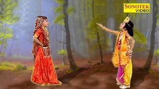 Sun Radha Barsane Ki  सुन राधा बरसाने की  Krishna Bhajan  Sonotek [upl. by Aniahs]