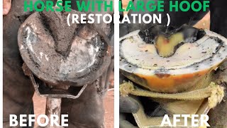 Shire Horse  Hoof Trimming Satisfying Compilation [upl. by Angel578]