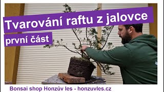 Tvarování raftu z jalovce  1 část [upl. by Sitruc]