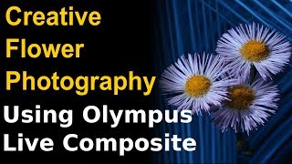 Creative Flower Photography with Olympus Live Composite ep164 [upl. by Ycam]