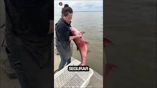 solte os peixes no mar viralvideo shorts trending funny [upl. by Yrdua904]