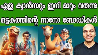 ഒട്ടകത്തിന്റെ നാനൊ ബോഡിഗളിൽ നിന്നും കാൻസറിന് മരുന്ന് കണ്ടെത്തി [upl. by Pippy248]