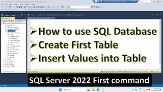 Creating Table in Microsoft SQL Server 2022 and Inserting Values  Running first SQL Query [upl. by Treb]