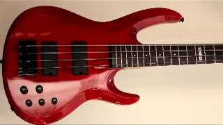 ESP LTD B104 See Thru Red SamplePrototype model [upl. by Nnyloj239]