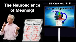 The Neuroscience of Meaning [upl. by Kabab]