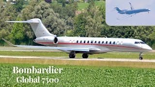 Bombardier Global 7500 VistaJet Circling Approach amp Landing [upl. by Nnaasil]