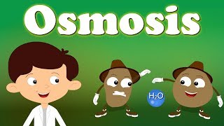 Osmosis  aumsum kids science education children [upl. by Gudren834]