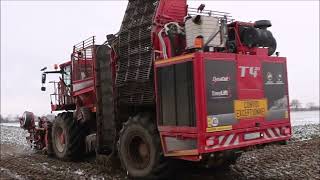 Holmer T 430 mit Claas Axion 870 Gespann im Schnee [upl. by Shutz]