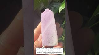 kunzite tower  uv reactive  crystal if interested could bio crystaladdict crystals ￼ [upl. by Annelak]