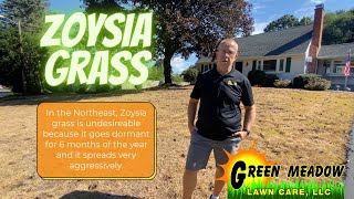 Zoysia Grass Zoysia Grass Control in the Northeast [upl. by Yaya101]