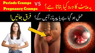 Period Cramps Vs Pregnancy Cramps in urduPeriods Pain Vs Pregnancy Pain EarlySymptoms of Pregnancy [upl. by Adnilav]