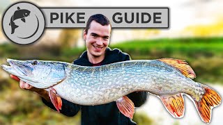 A Beginners Guide To Pike Fishing  Tactics Bait Lures Rigs and Unhooking [upl. by Annim781]